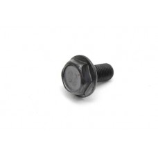 Bicycle axle nut