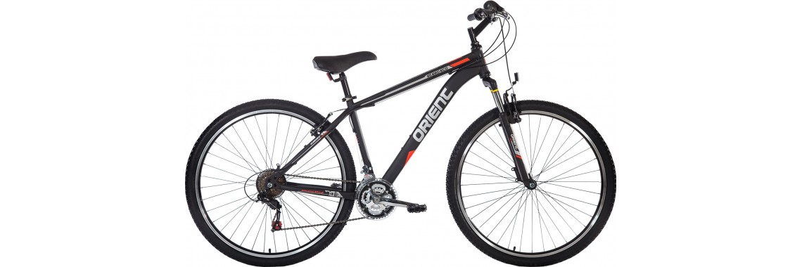 Ποδήλατο 29'' MTB "Steed Eco" 21sp + ΔΩΡΑΚΙΑ